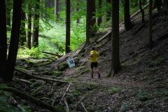 SKL2026_Trailfoxy-171