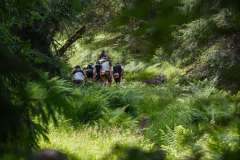SKL2026_Trailfoxy-282